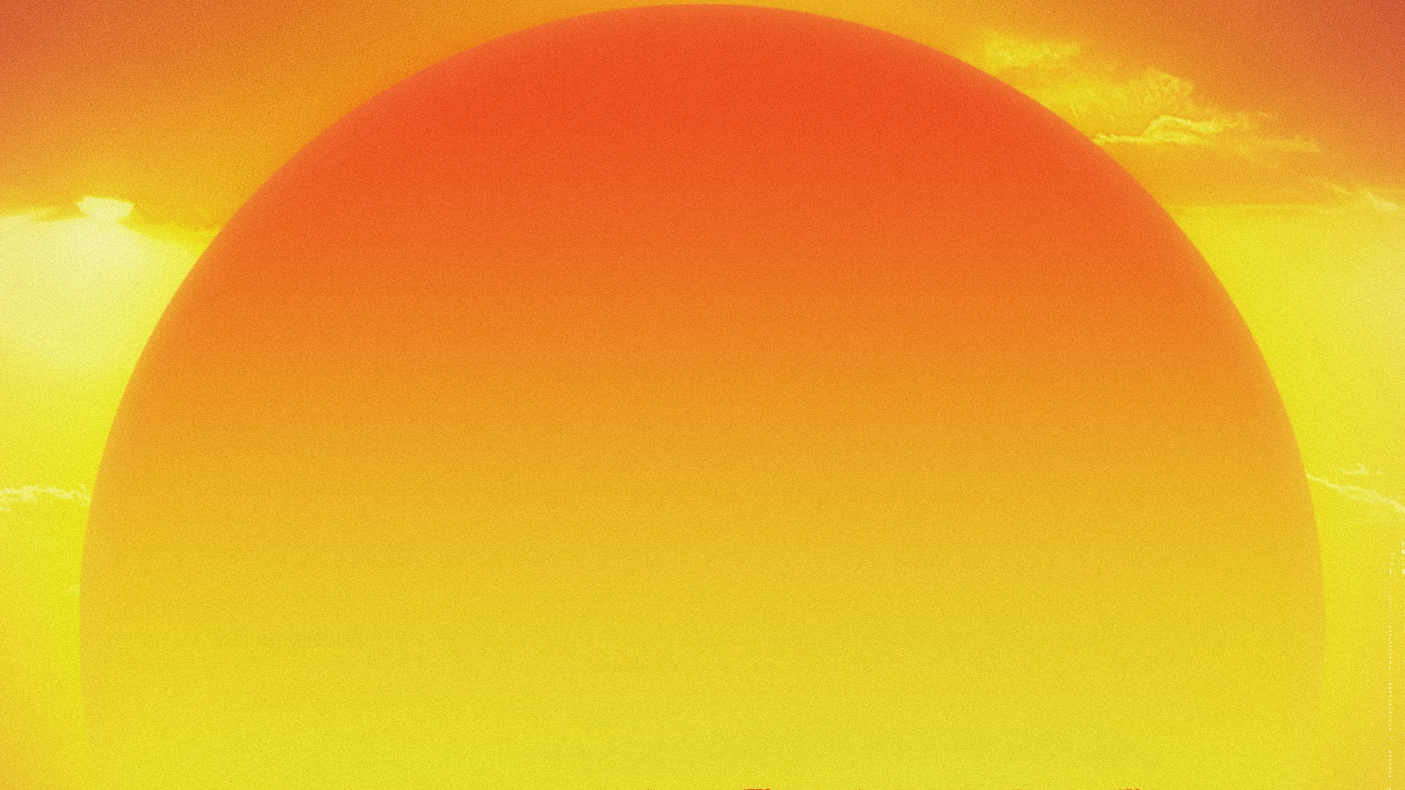 sunny background